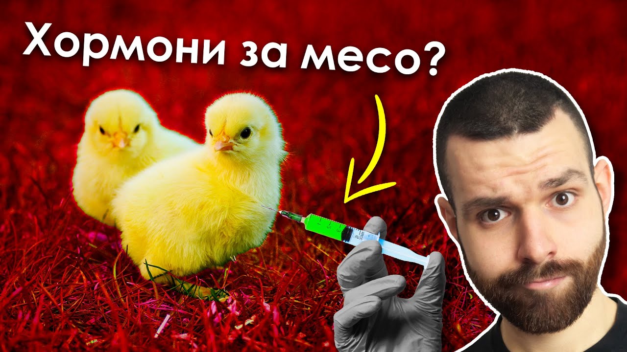 В кои меса има най-много ХОРМОНИ (и какво НЕ ЗНАЕМ за тях)?