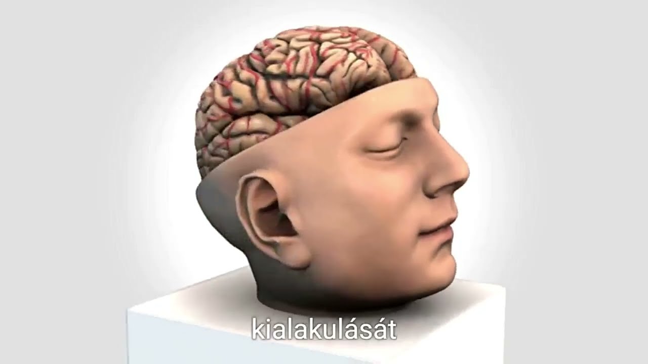 Az emberi agy rejt&eacute;lyei, Hogyan műk&ouml;dik a mem&oacute;ri&aacute;nk? [enhanced]