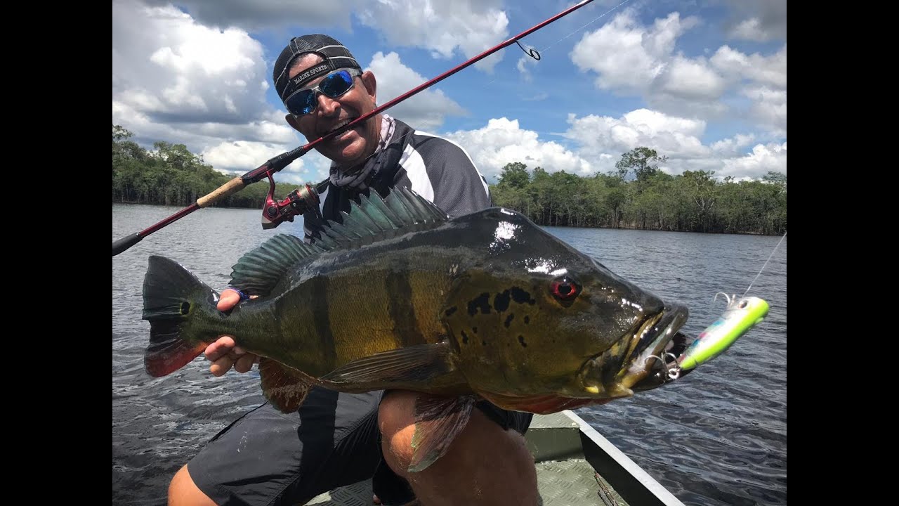 PESCANDO TUCUNARÉ AÇU GIGANTE NA AMAZÔNIA DE MOLINETE