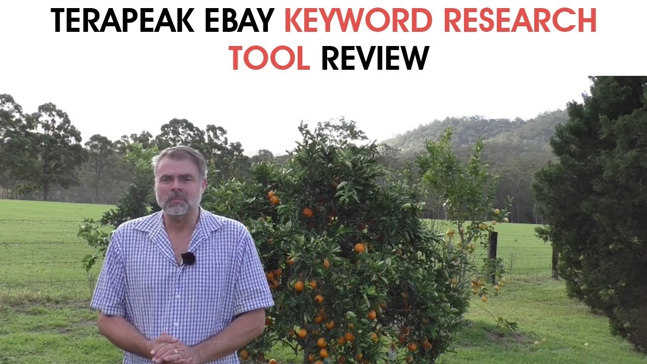 Terapeak eBay Keyword Research Tool Review