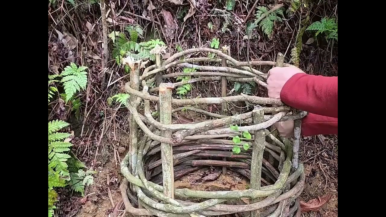 “Surviving a Night in a Cave 😱🔥 | Cave Camping Adventure”