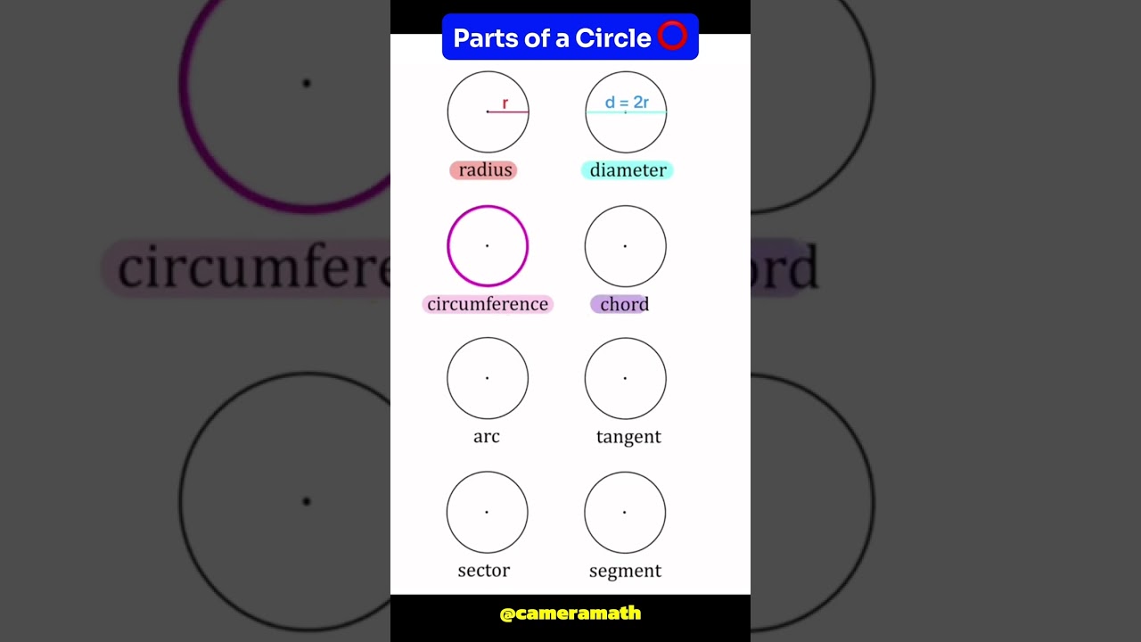 Parts of a Circle⭕| radius, diameter, circumference, ... #circle #mathtricks