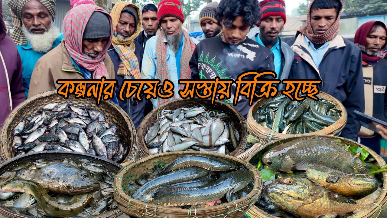 ২০২৬ সালের শুরুতে নানান ধরনের বিলের মাছ সস্তায় বিক্রি হচ্ছে! কাস্টমার সংকট দোহার দুবলি বাজারে
