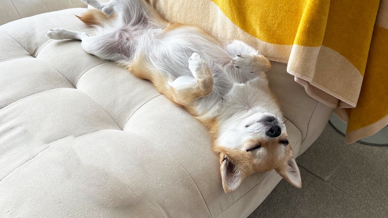 【報告】引っ越さなければいけなくなりました。
