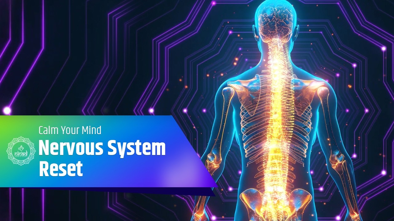 Reset Nervous System | Calm Your Mind & Restore Wellness with Soft Tones