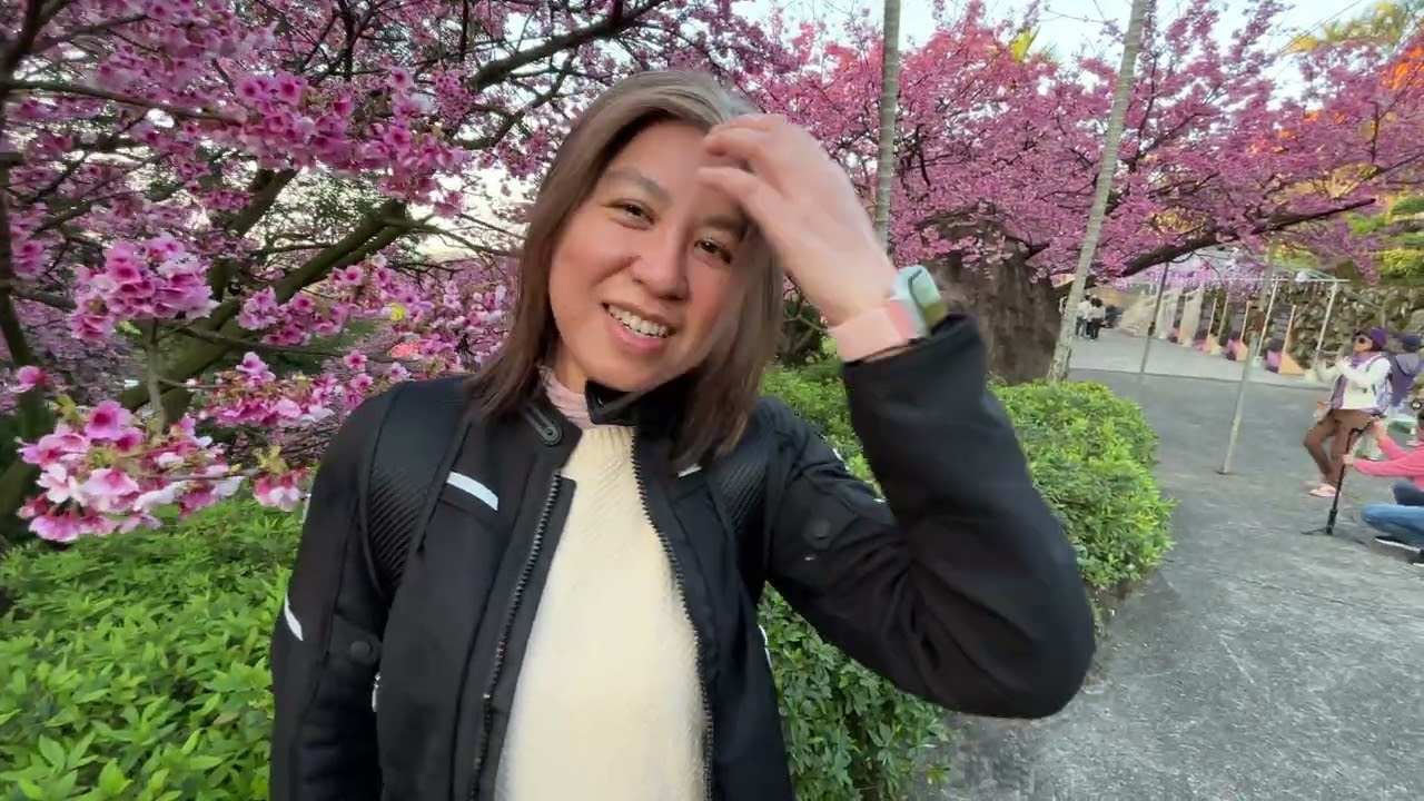 2026花見天元宮櫻花季🌸滿開的櫻花 不期而遇兩次的緣分