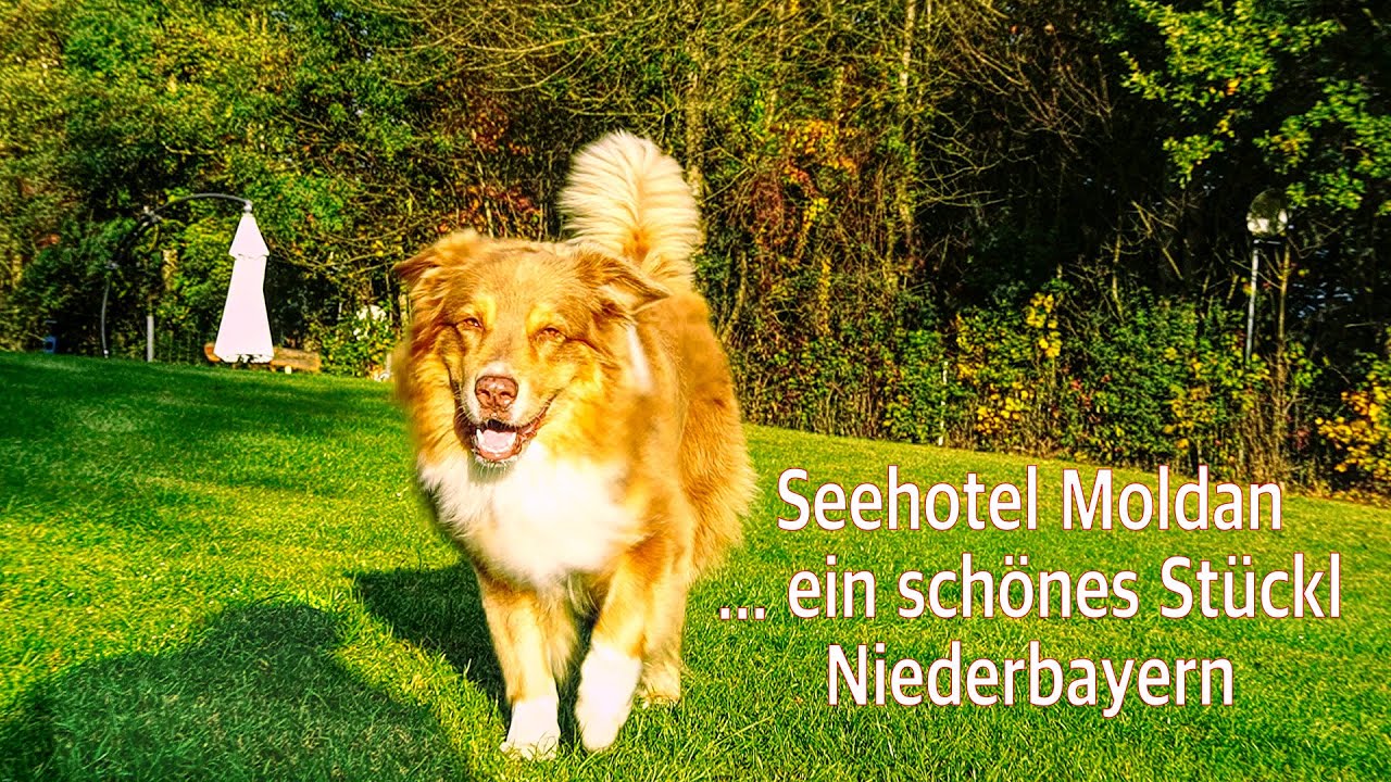 Seehotel Moldan - ein schönes Stückl Niederbayern