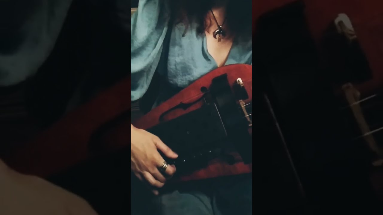 Eluveitie - Thousandfold (hurdy gurdy cover with original track)