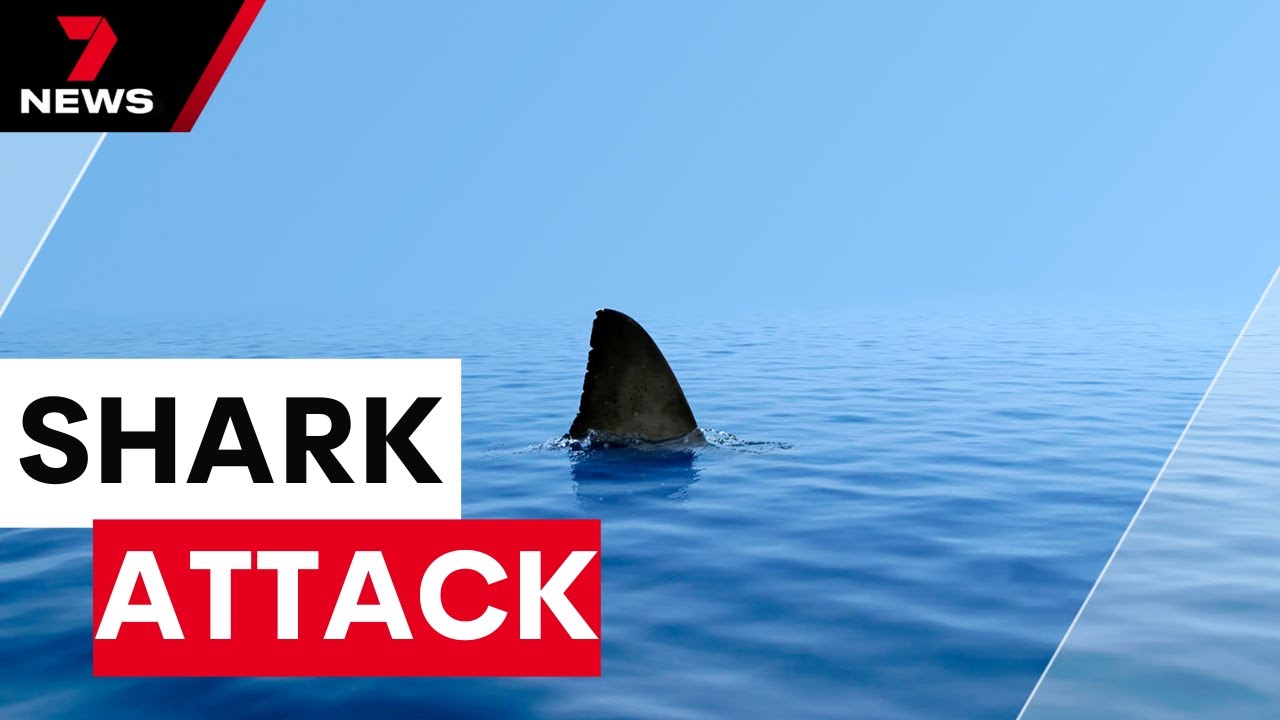 Teen injured in shark attack | 7NEWS