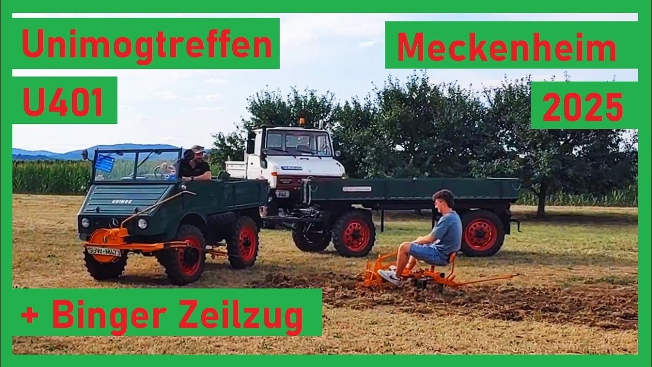 Unimog 401 mit Binger Seilzug - Vorführung | Unimogtreffen 2025 Meckenheim / Pfalz