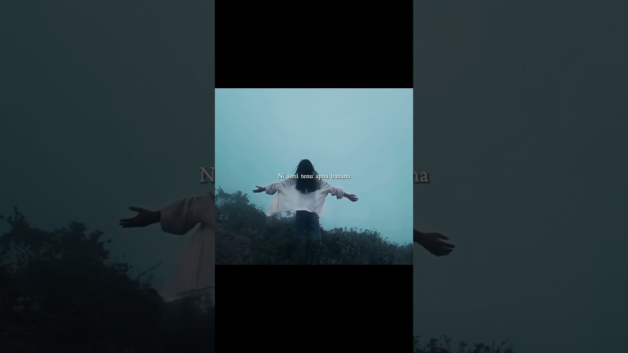 Ishaare Tere - Guru Randhawa & Zahrah S Khan | 💫🌙 Aesthetic Status | Chill Vibezs