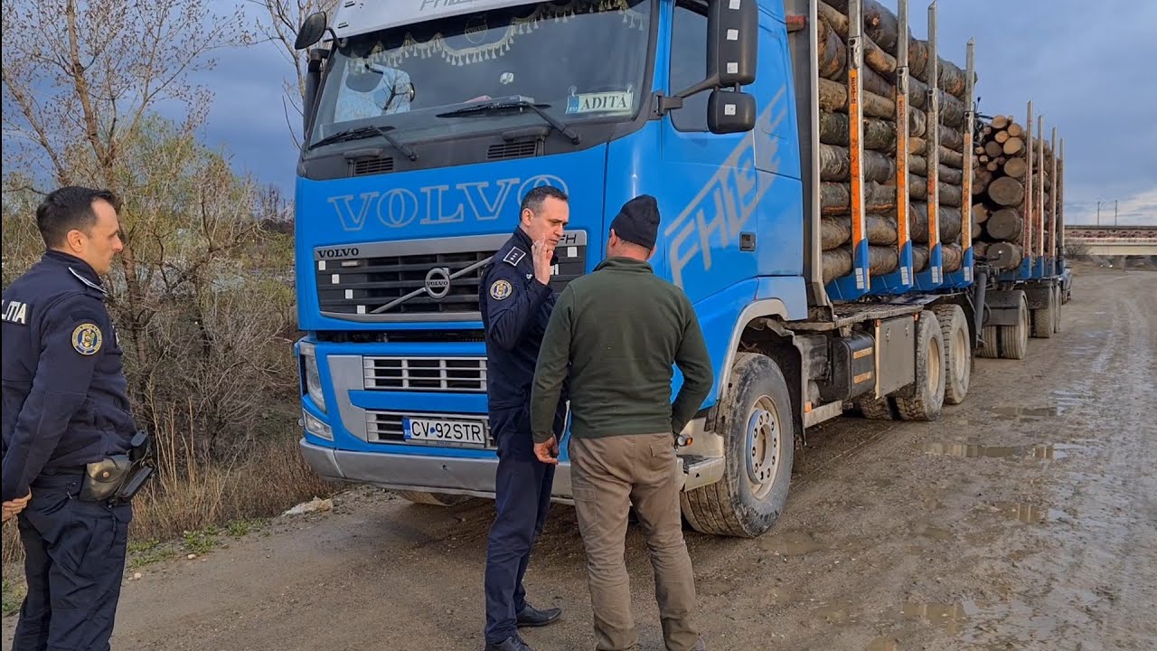 Poliția Buzău și Cattani în acțiune comună ! Mafia lemnului a fost lovită din nou !