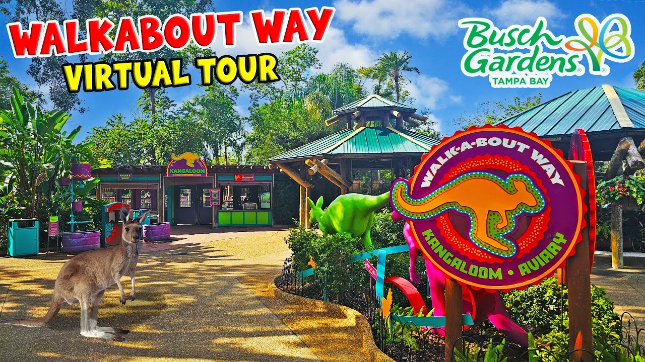 Walkabout Way Animal Encounter | Kangaroos and Wallabies at Busch Gardens Tampa Bay (Jan 2026) [4K]
