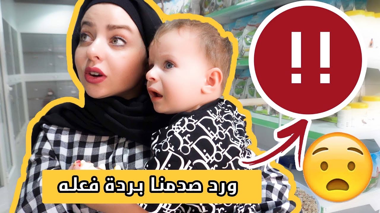 أكبر سوق للحيوانات الأليفة في دبي | جولة متجر للحيوانات الاليفة