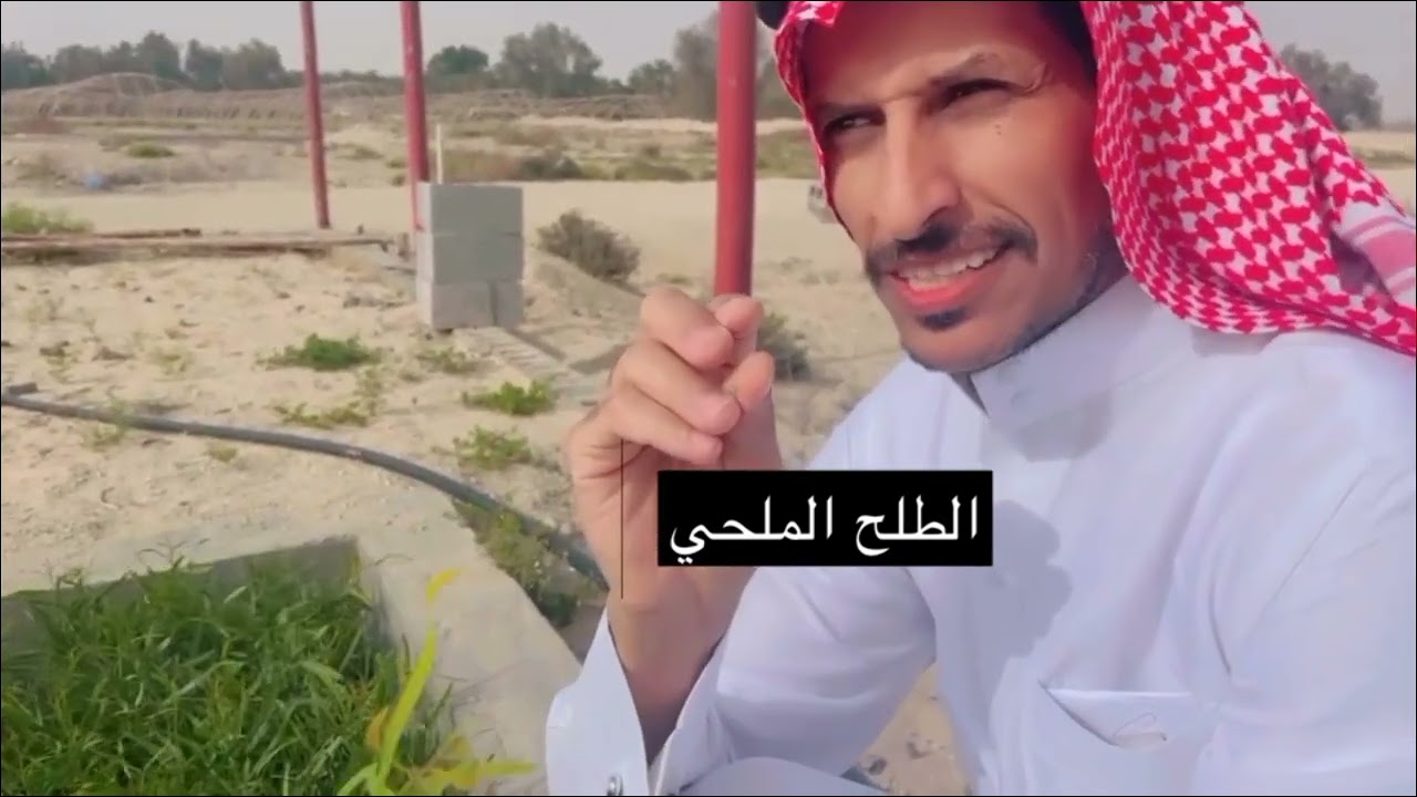 مشتل الرفيعه للاشجار البريه