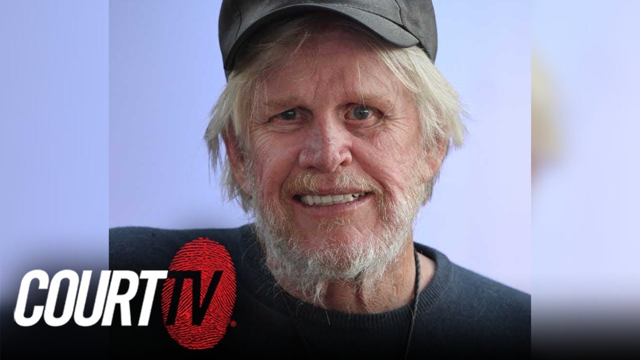 Actor Gary Busey Pleads Guilty to Sex Crimes Charge