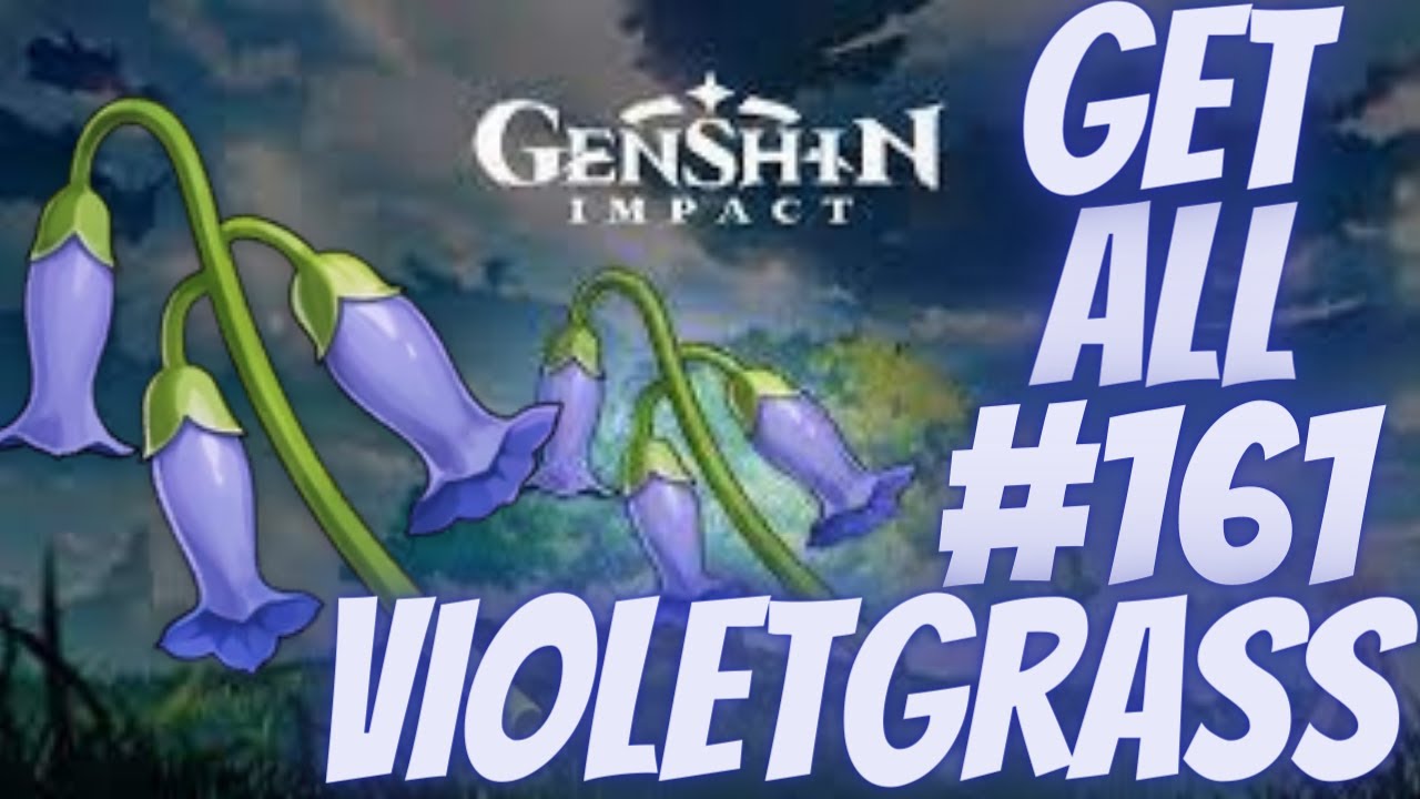 How Get All #161 Violetgrass Locations - Farming Route : Genhsin Impact