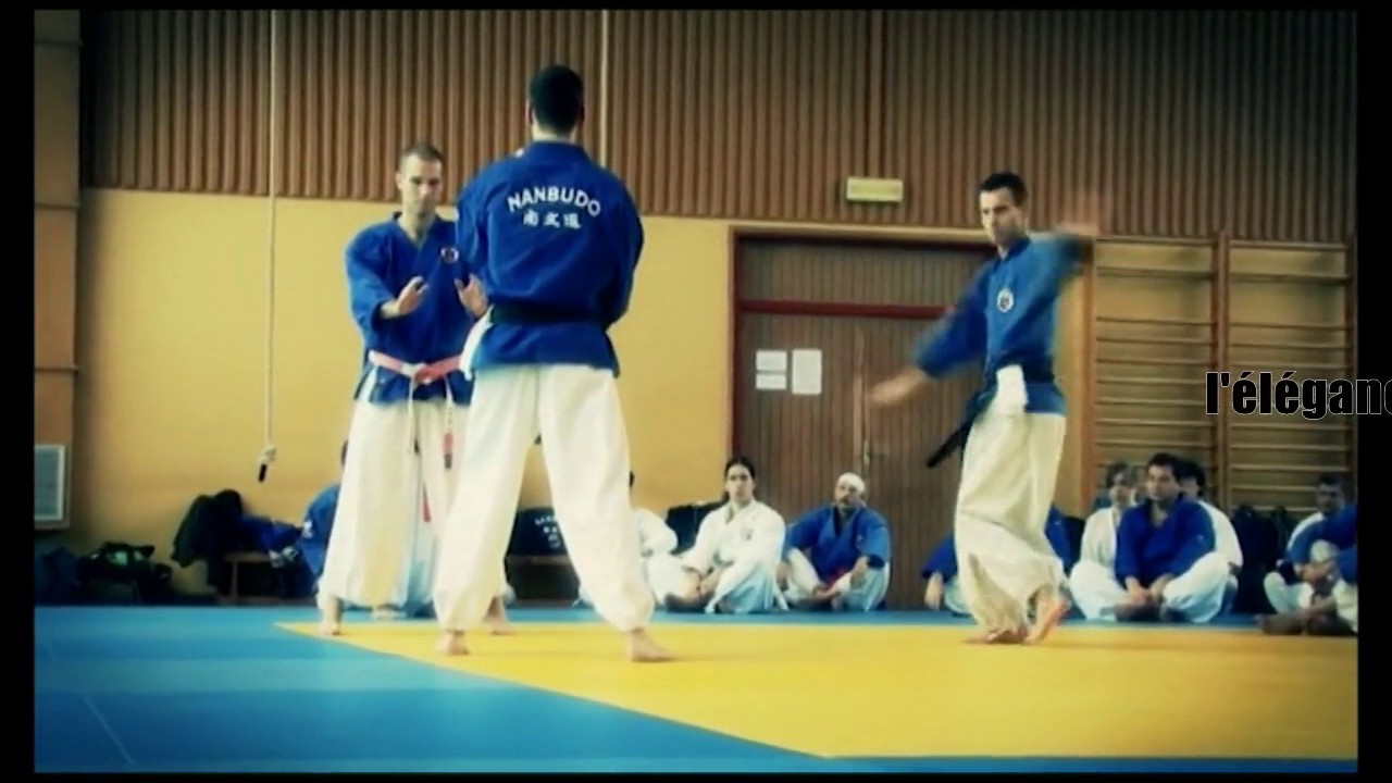 Le nanbudo