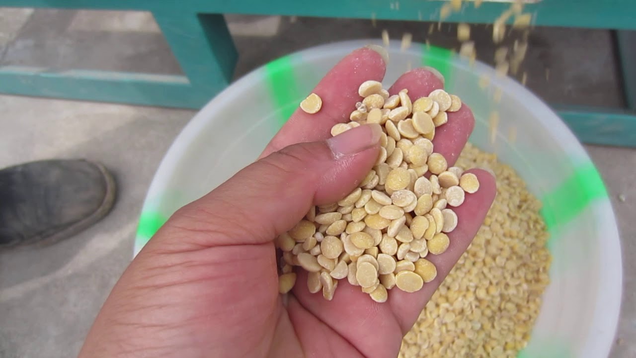 Small soybean peeling machine