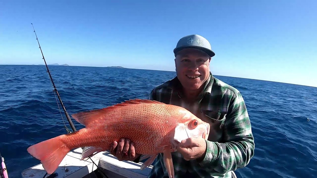 Big Nannygai, Red Reef Fish Mackay - EP 21