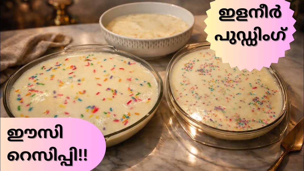 ഇളനീർ പുഡ്ഡിംഗ് | Tender Coconut Pudding Recipe