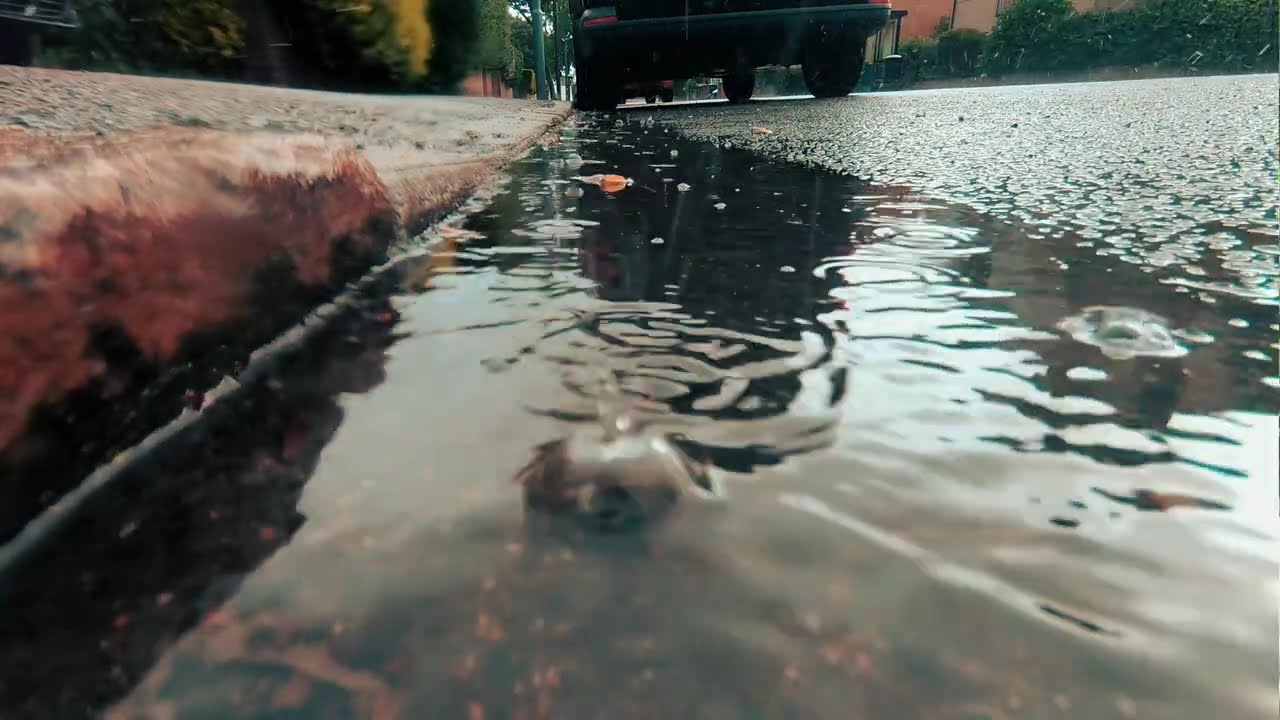 Raining outside but beautifull