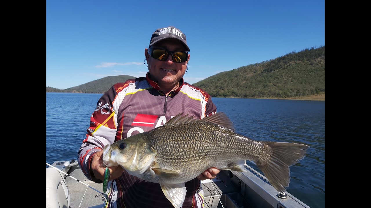 Somerset Dam Bass Spoons and Jig Tips 2020
