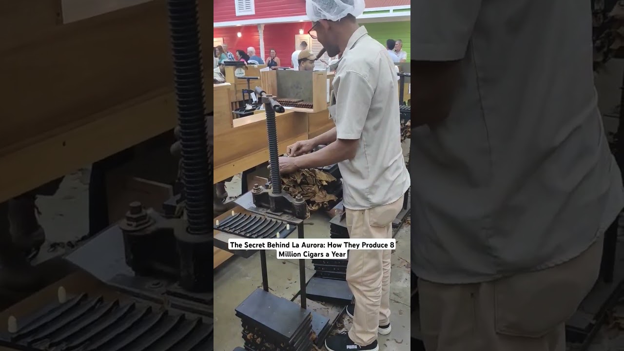 The Secret Behind La Aurora: How They Produce 8 Million Cigars a Year
