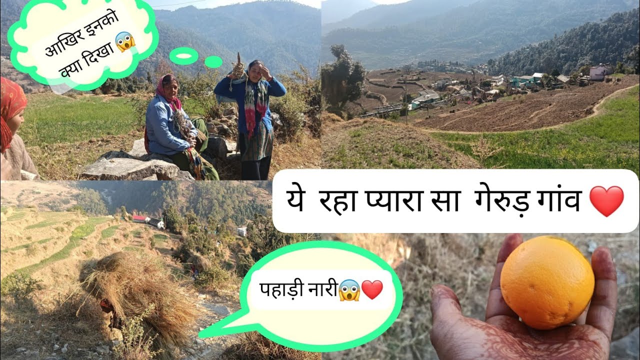 आज गए हम घास लेने ढाढरllpahadilifestylevlog😱❤️ll