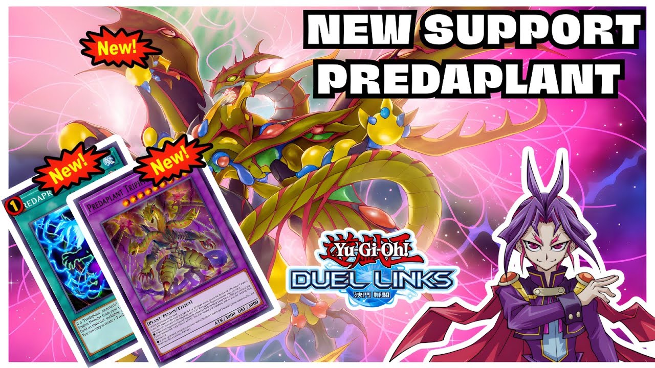 NEW SUPPORT & NEW TIER 