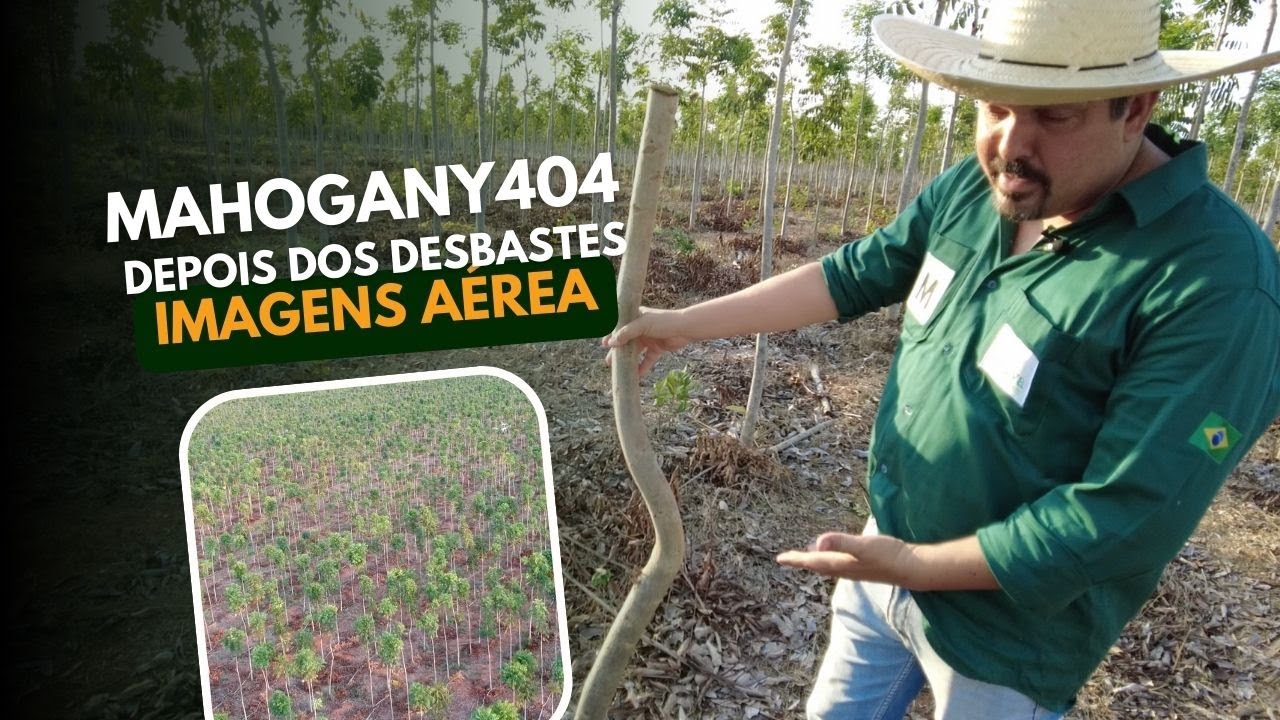 COMO FICOU O MAHOGANY404 DEPOIS DO DESBASTE COM IMAGENS AÉREAS