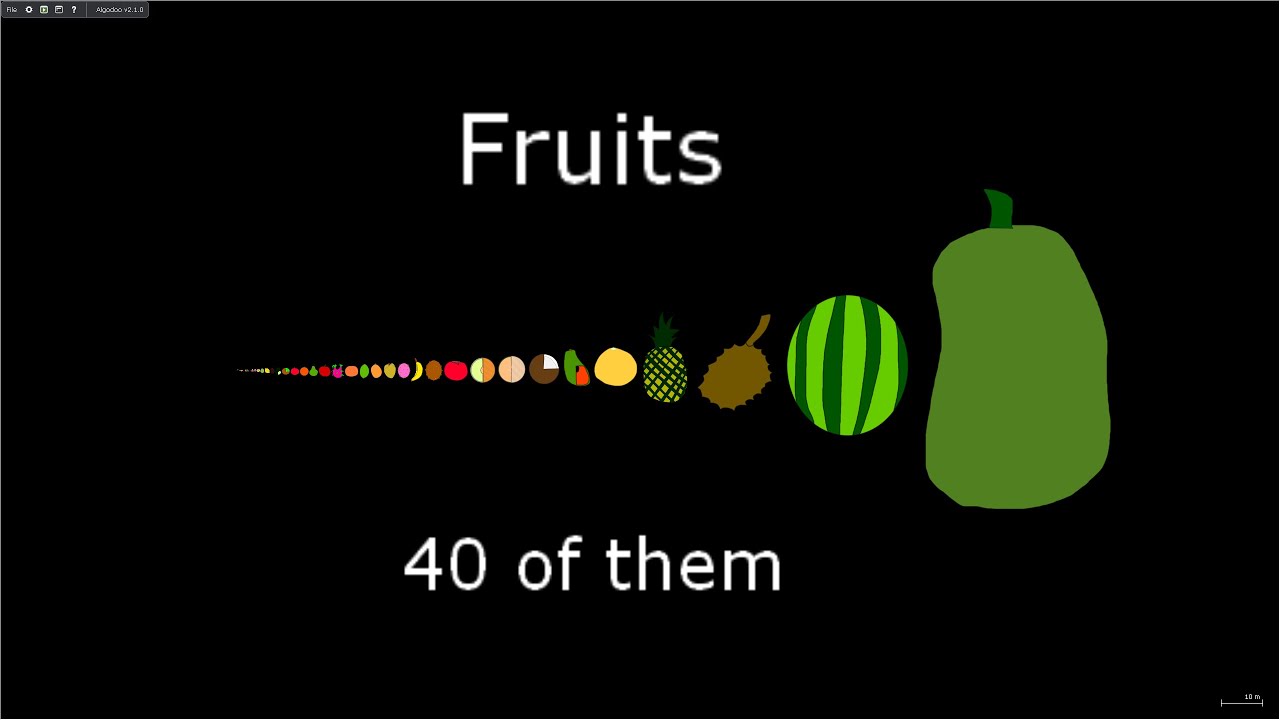 Fruit Size Comparison (Version 3)