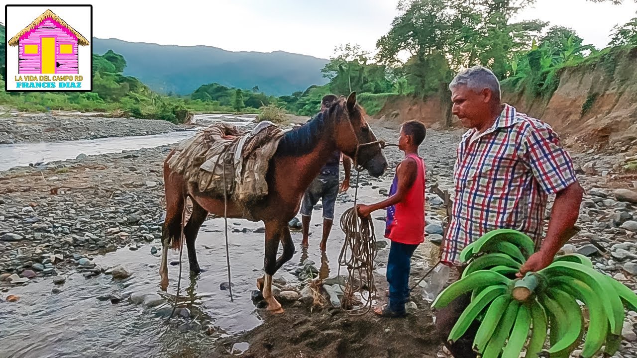 LA VIDA DEL CAMPO EN BONAO REPÚBLICA DOMINICANA