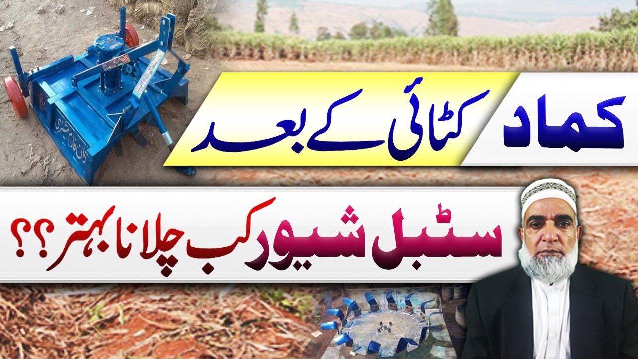 When to use stubble shaver in the field after sugarcane crop || Crop Reformer
