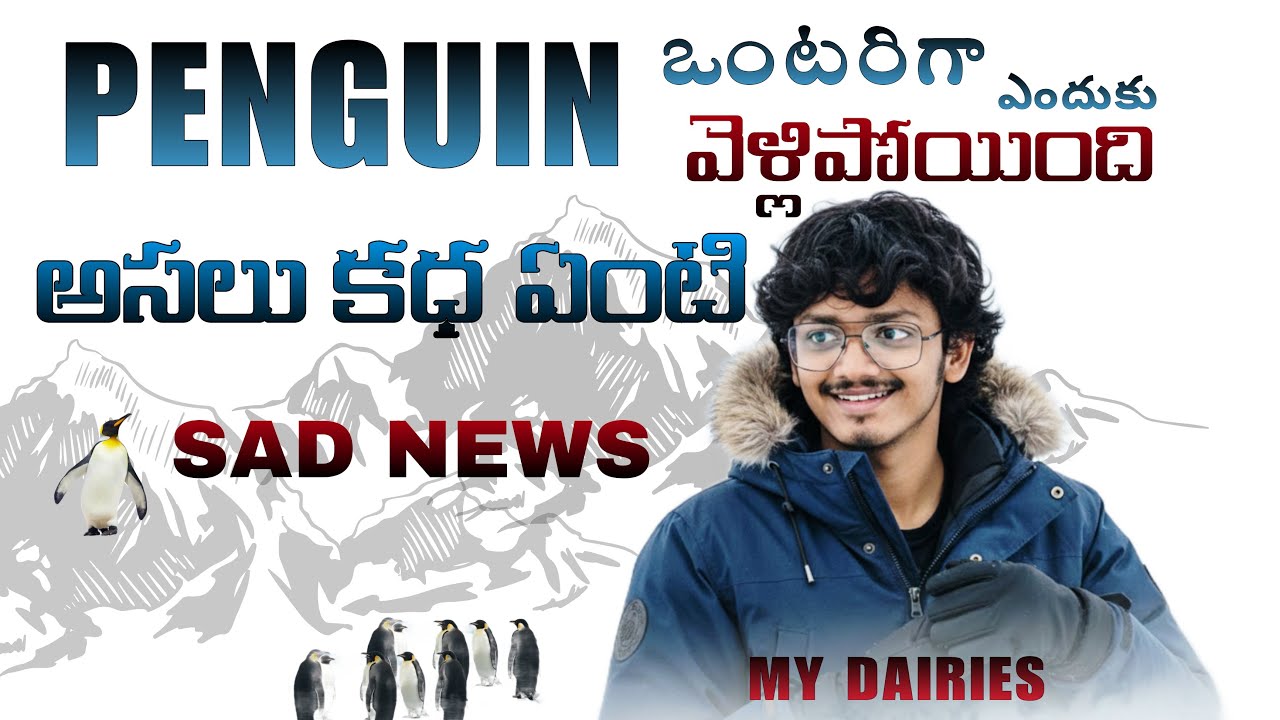 FULL STORY OF PENGUIN 🐧 | Amazing Penguin Facts in Telugu | MY DIARIES