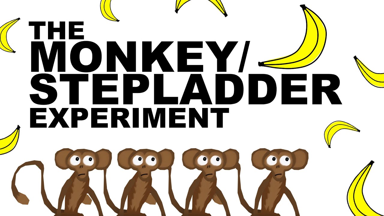THE MONKEY/STEPLADDER EXPERIMENT