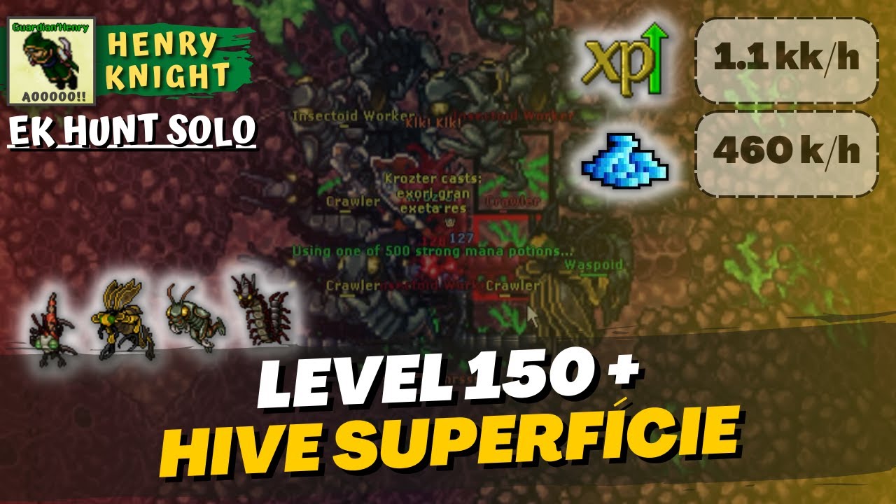 TIBIA: EK HUNT SOLO #126 CRAWLER (GRAY ISLAND) HIVE POOLS