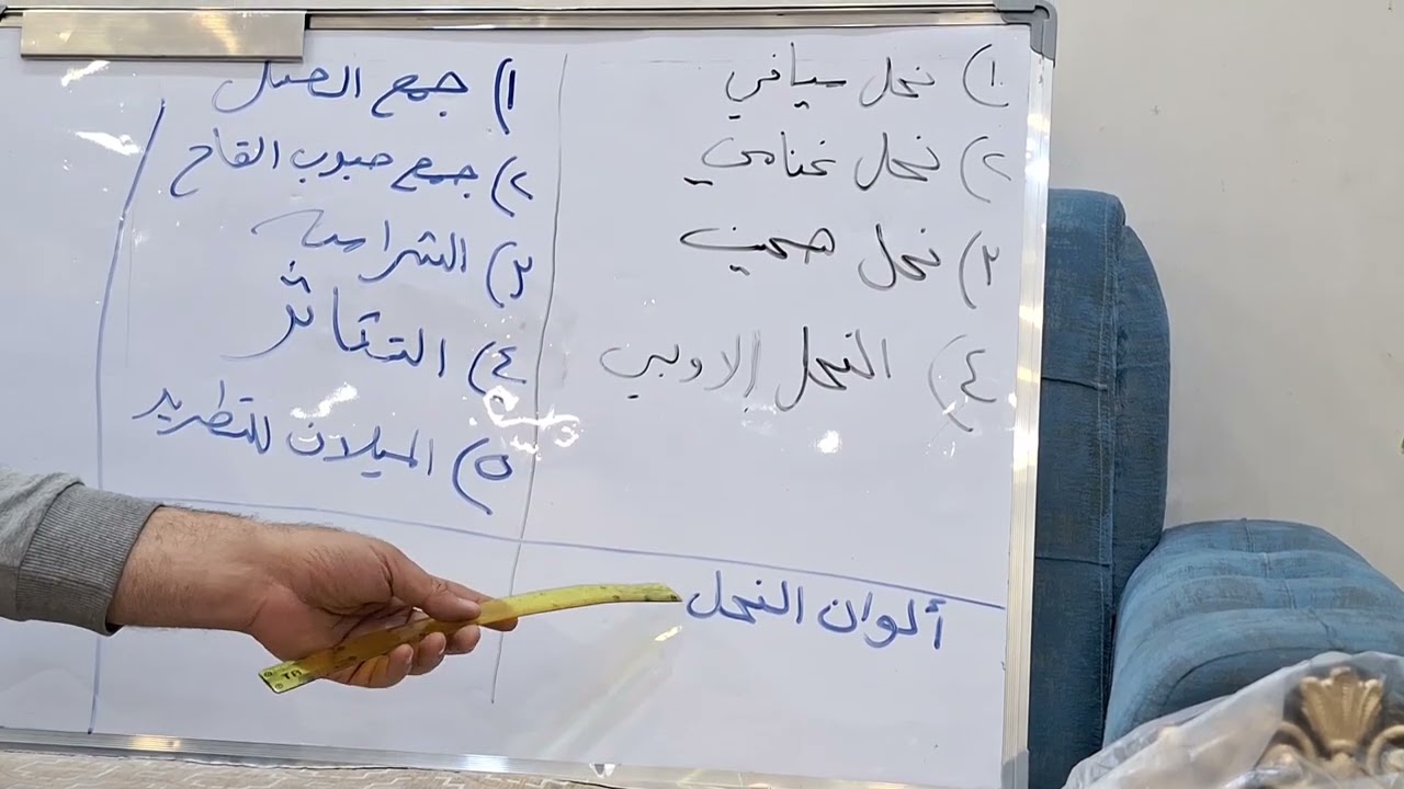 صفات ملكات النحل وانتخاب الملكات الجيده
