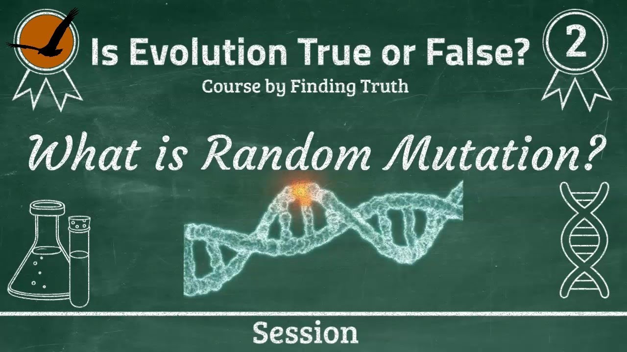 What is Random Mutation? | #EvolutionCourse | Session 2