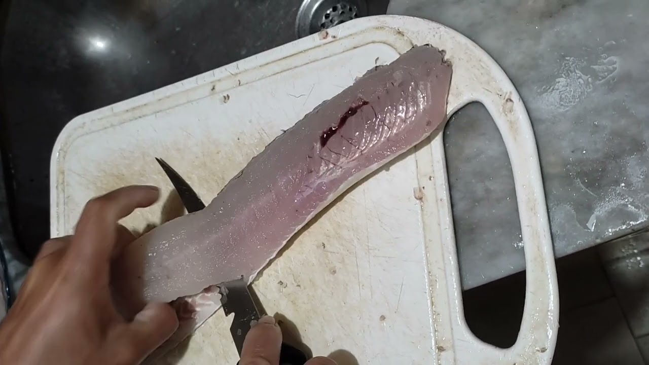 COMO DEJAR EL FILET SIN ESPINAS DEL PEZ PALO!  DISFRUTA DE ESTA PESCA!