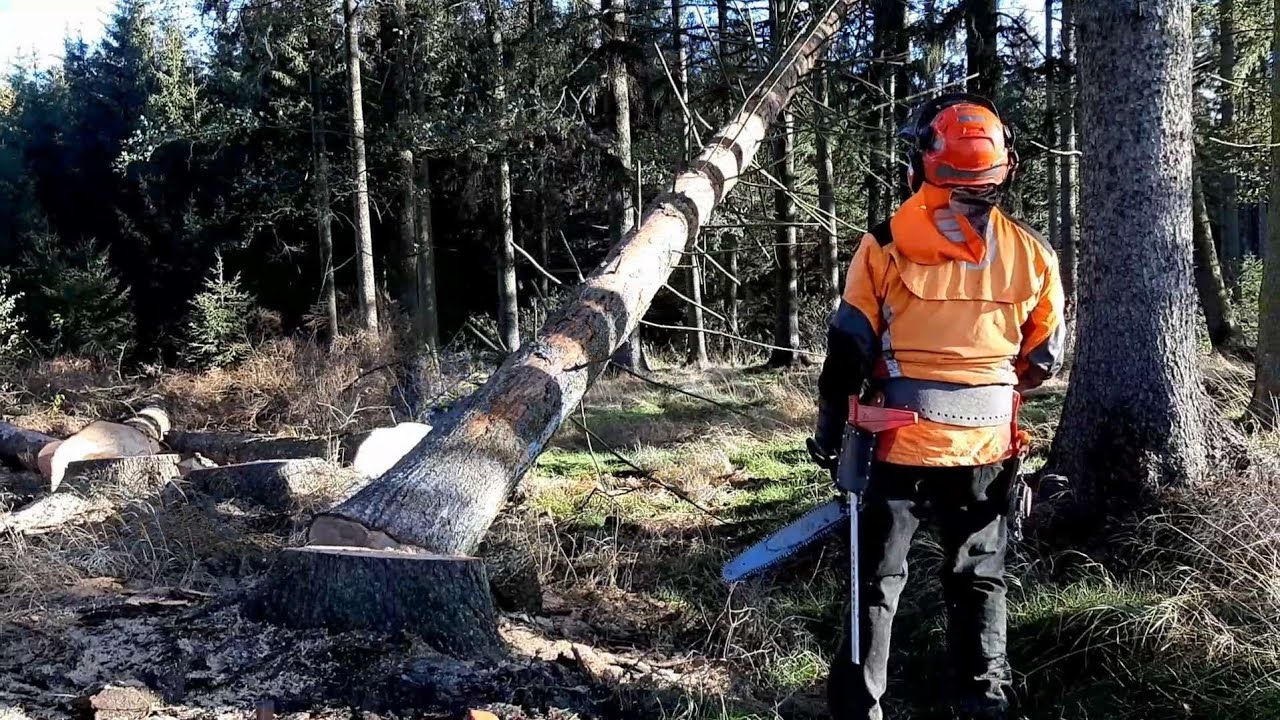 Support and Complete tree processing with a Husqvarna chain saw