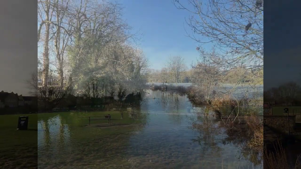 The Meadows