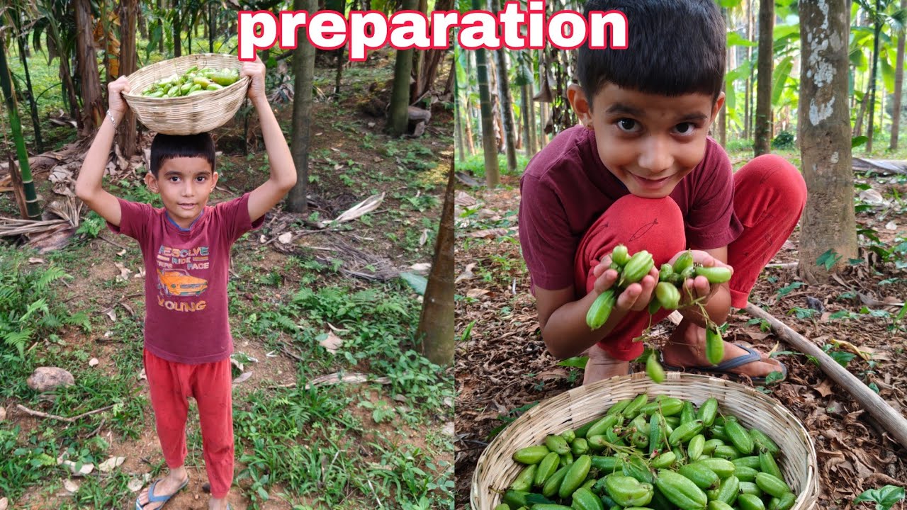 ಅತೀ ಸುಲಭದ ,ರುಚಿಯಾದ ಸಿಂಪಲ್ ಉಪ್ಪಿನಕಾಯಿ | gardening gelati 