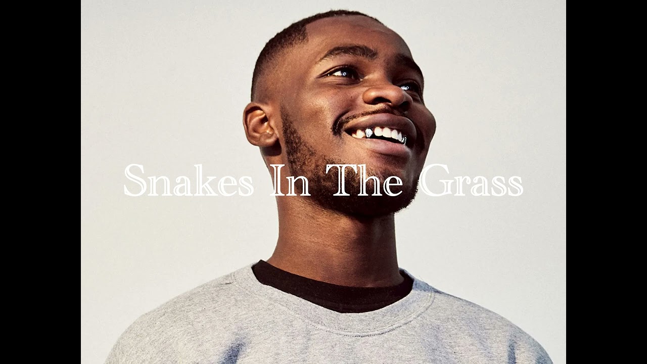 [FREE] Dave Type Beat | 'Snakes In The Grass' | [ProdLM] | 2024