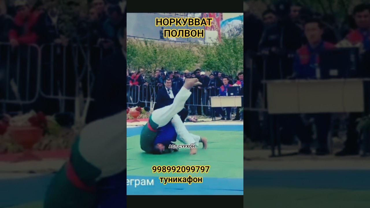 НОРКУВВАТ ПОЛВОНДАН СУПЕР БРОСОК #рекомендация #sports #КУРАШ#