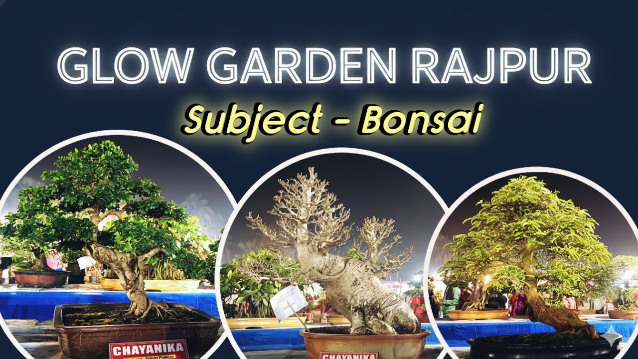 National Agri Horti Fair2026, international level bonsai collection at Muchisa South 24Pgs.(WB)