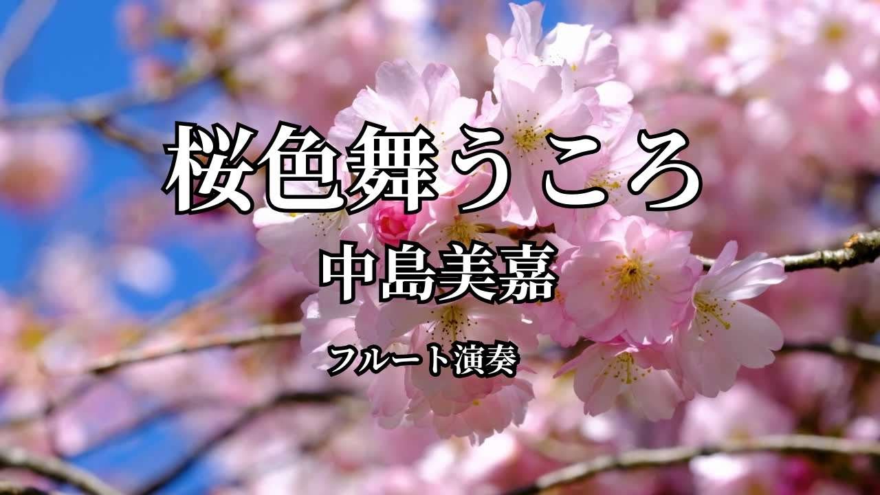 フルート演奏　桜色舞うころ　中島美嘉