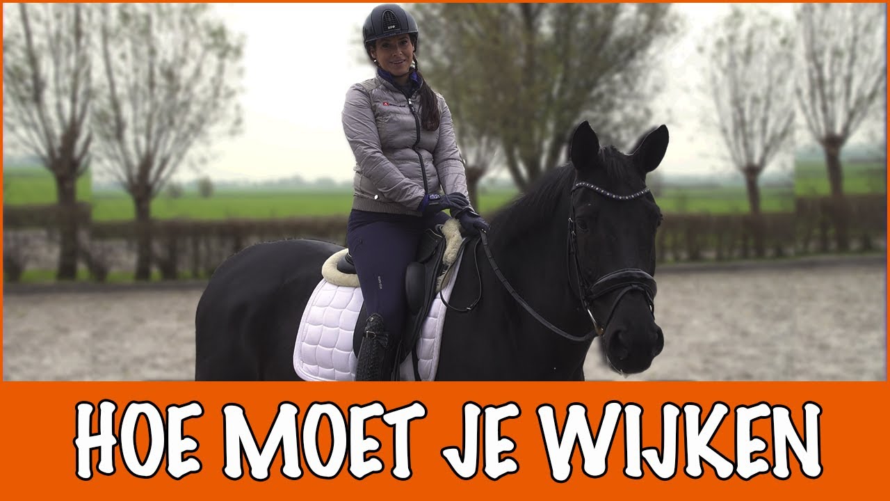 How to: WIJKEN met Danielle van Mierlo | PaardenpraatTV