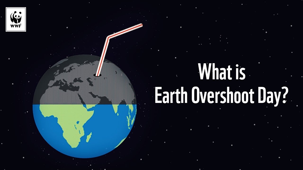 What is Earth Overshoot Day? 🌏☄️ | WWF-Australia