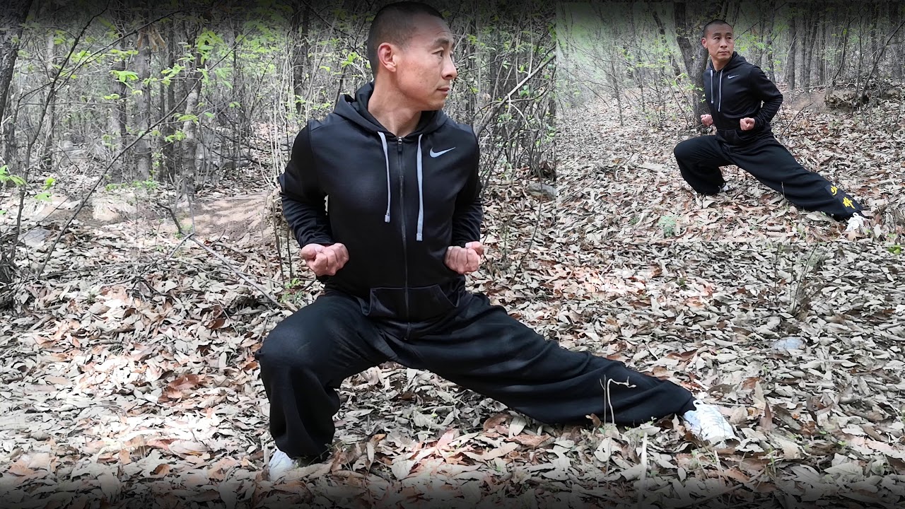 Kung-fu basic stances - 功夫基本步法教学